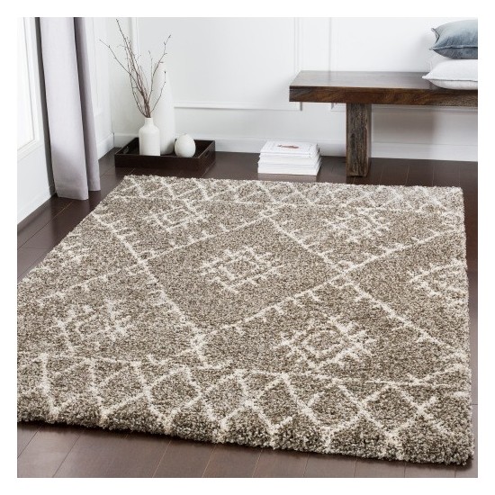 Surya Serengeti Shag SGT-2300 2' x 3' Rug