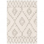 Surya Serengeti Shag SGT-2301 2' x 3' Rug