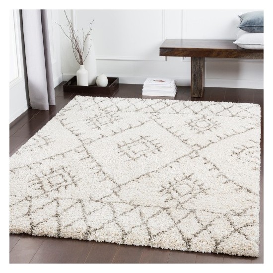 Surya Serengeti Shag SGT-2301 2' x 3' Rug