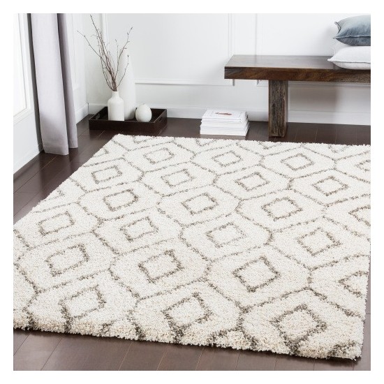 Surya Serengeti Shag SGT-2302 2' x 3' Rug