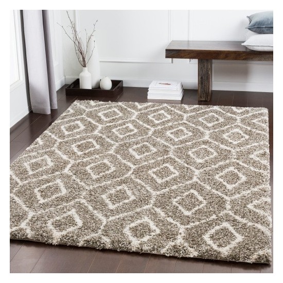 Surya Serengeti Shag SGT-2303 2' x 3' Rug