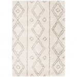 Surya Serengeti Shag SGT-2304 2' x 3' Rug