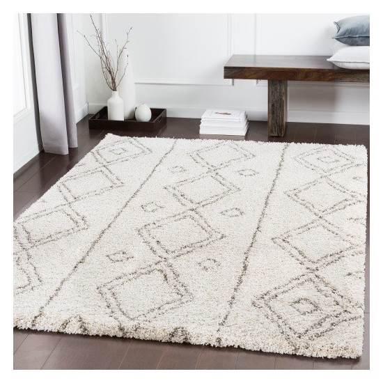 Surya Serengeti Shag SGT-2304 2' x 3' Rug