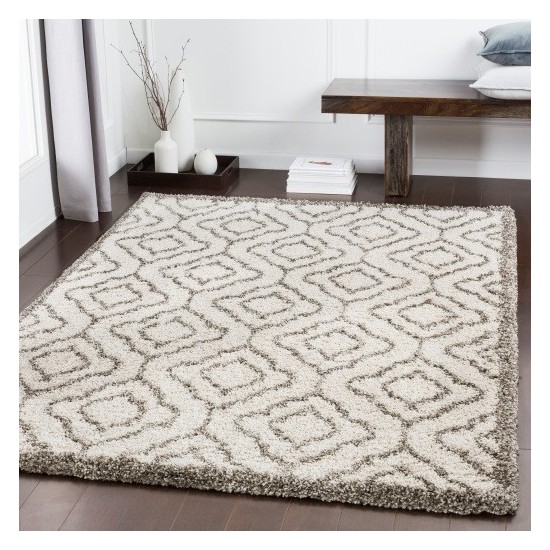 Surya Serengeti Shag SGT-2308 2' x 3' Rug