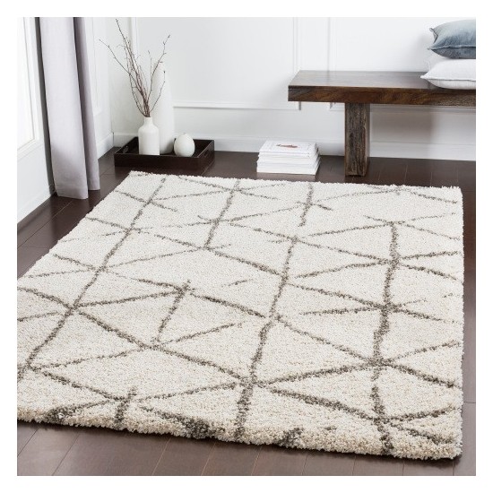 Surya Serengeti Shag SGT-2310 2' x 3' Rug