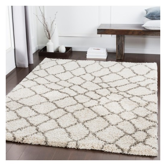 Surya Serengeti Shag SGT-2313 2' x 3' Rug