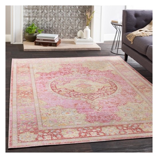 Surya Antioch AIC-2325 2' x 2'11" Rug