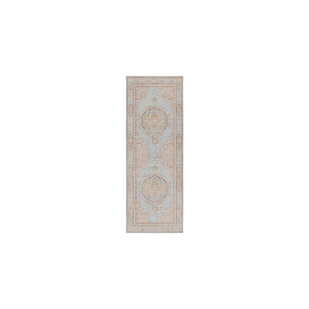 Surya Antioch AIC-2326 7'10" x 10'3" Rug