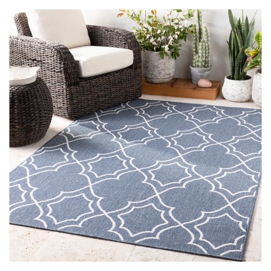 Surya Alfresco ALF-9650 2'5" x 11'10" Rug