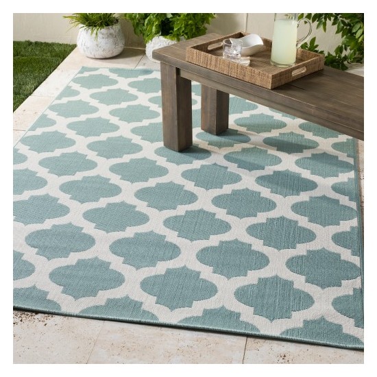 Surya Alfresco ALF-9664 2'5" x 11'10" Rug