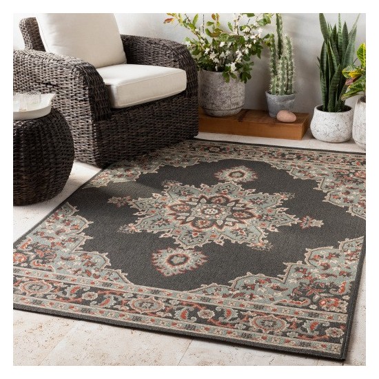 Surya Alfresco ALF-9671 2'5" x 11'10" Rug