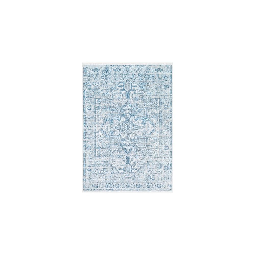Surya Nova NVA-3040 3'11" x 5'3" Rug Surya Nova NVA-3040 3'11" x 5'3" Rug
