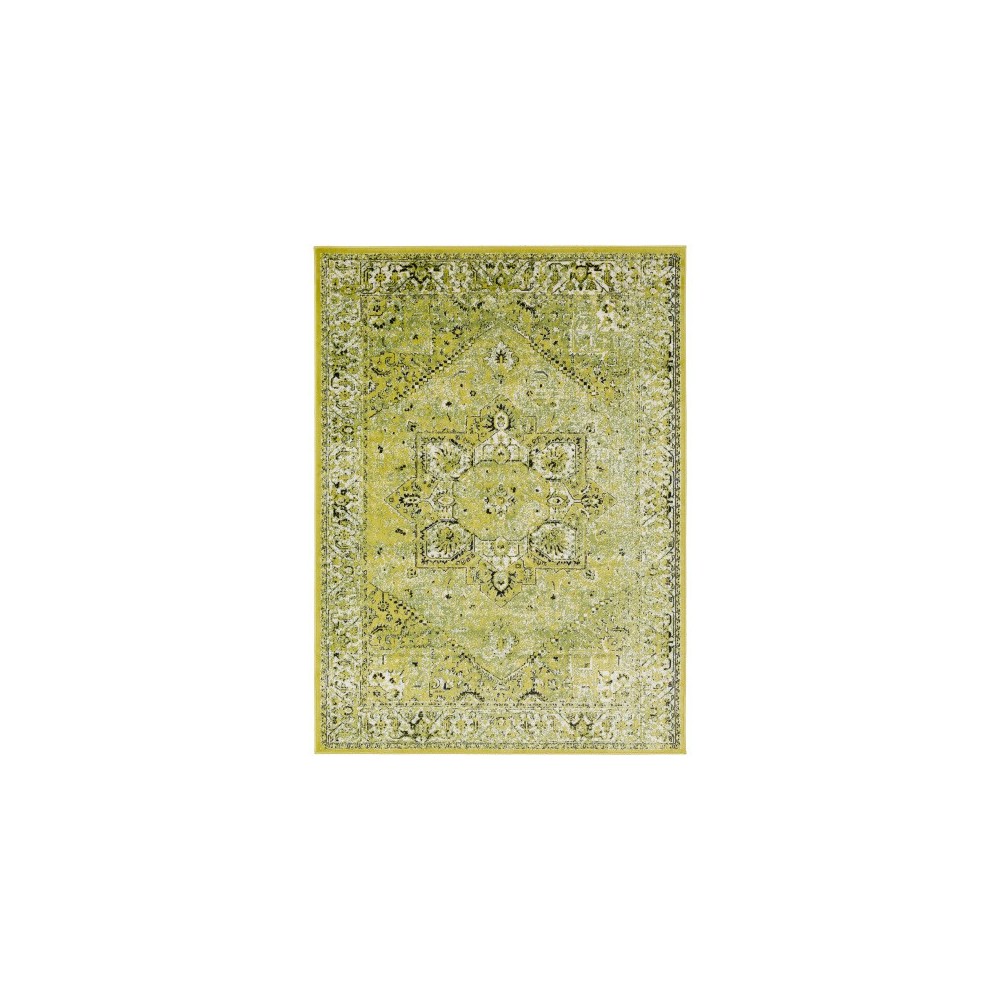 Surya Mumbai MUM-2305 2' x 2'11" Rug