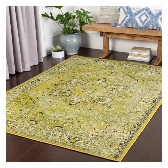 Surya Mumbai MUM-2305 2' x 2'11" Rug