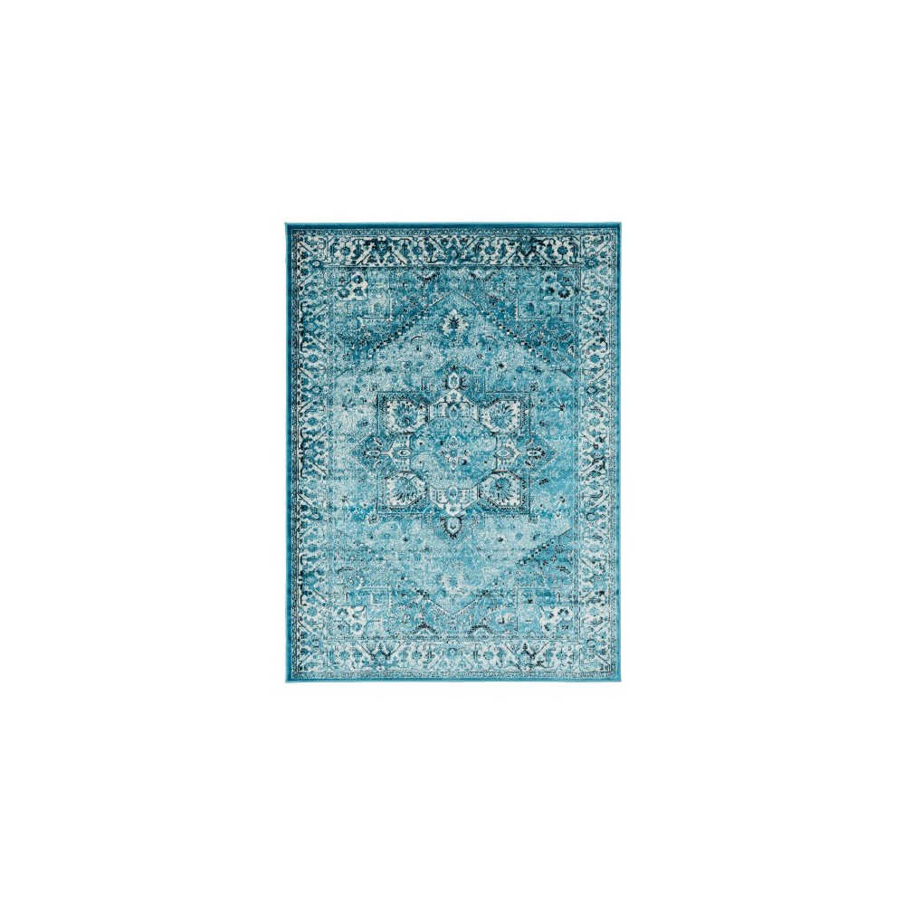 Surya Mumbai MUM-2309 7'10" x 10'2" Rug