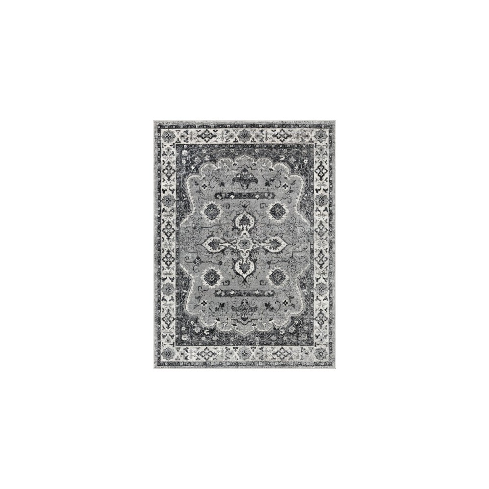 Surya Mumbai MUM-2310 3'11" x 5'7" Rug