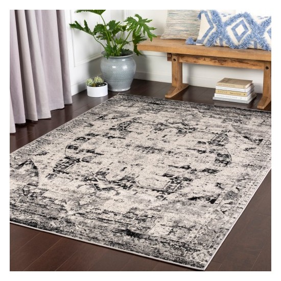 Surya Mumbai MUM-2312 2' x 2'11" Rug