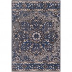 Surya Amsterdam AMS-1017 2' x 3' Rug