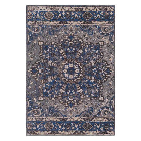 Surya Amsterdam AMS-1017 2' x 3' Rug