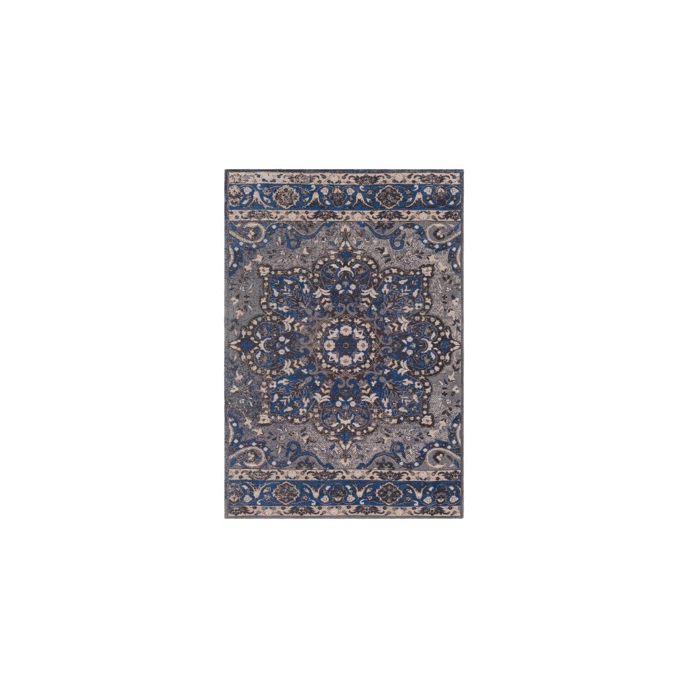 Surya Amsterdam AMS-1017 2' x 3' Rug