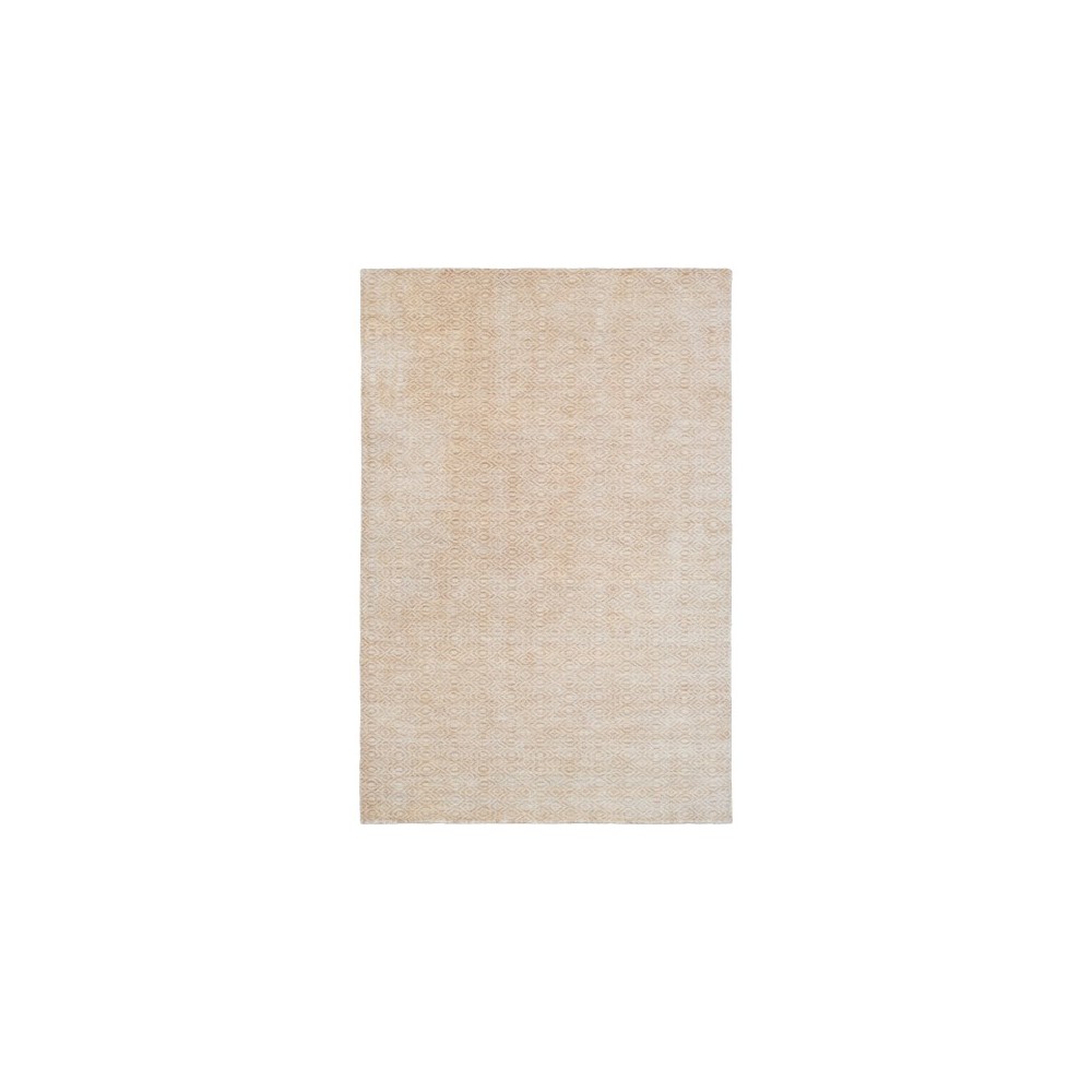 Surya Astara ASA-1002 2' x 3' Rug Surya Astara ASA-1002 2' x 3' Rug