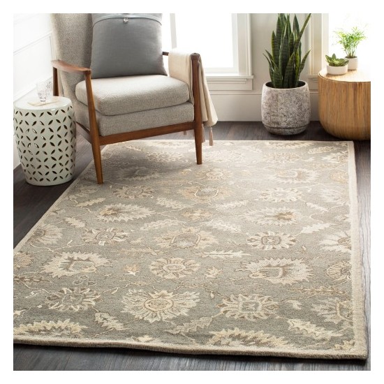 Surya Caesar CAE-1199 2' x 3' Rug