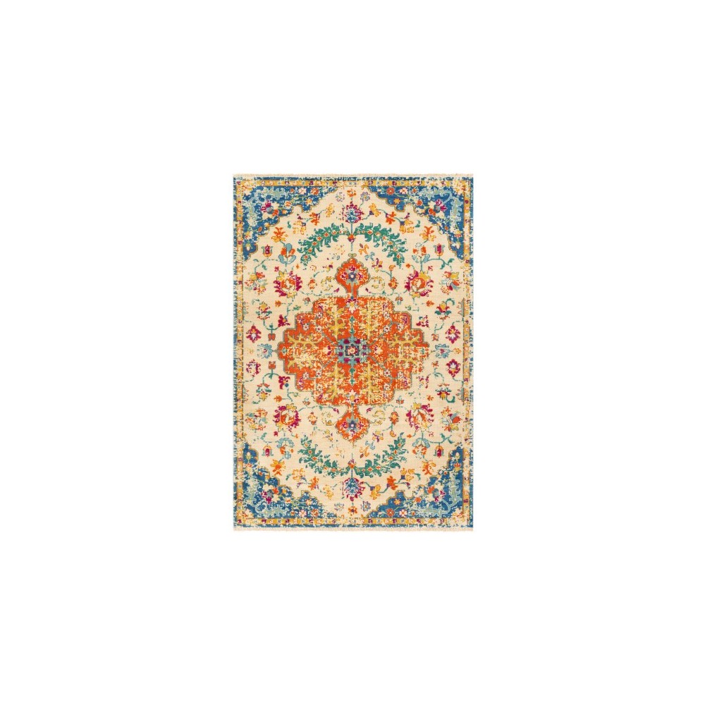 Surya Festival FVL-1006 2' x 3' Rug