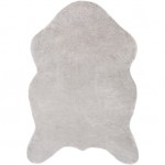 Surya Arctic ACI-1001 2' x 3' Rug