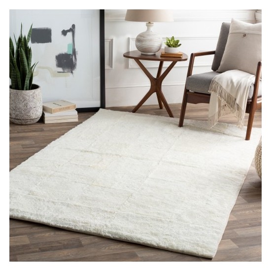 Surya Calidus CLU-1000 2' x 3' Rug