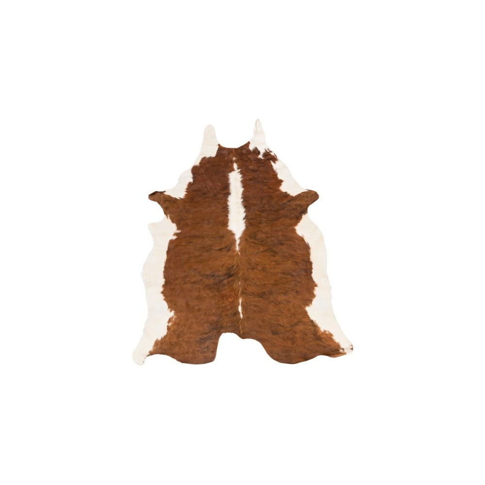 Surya Duke DUK-1001 5' x 7' Rug Surya Duke DUK-1001 5' x 7' Rug
