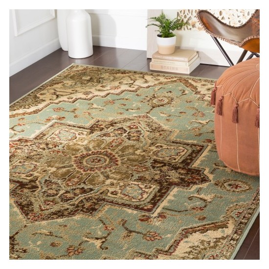 Surya Paramount PAR-1080 5'3" x 7'9" Rug