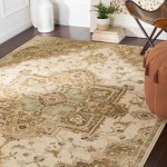 Surya Paramount PAR-1081 5'3" x 7'9" Rug