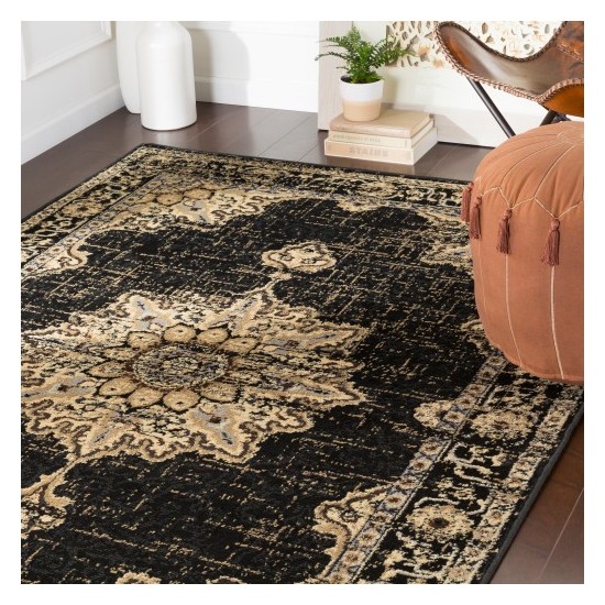 Surya Paramount PAR-1089 1'10" x 2'11" Rug