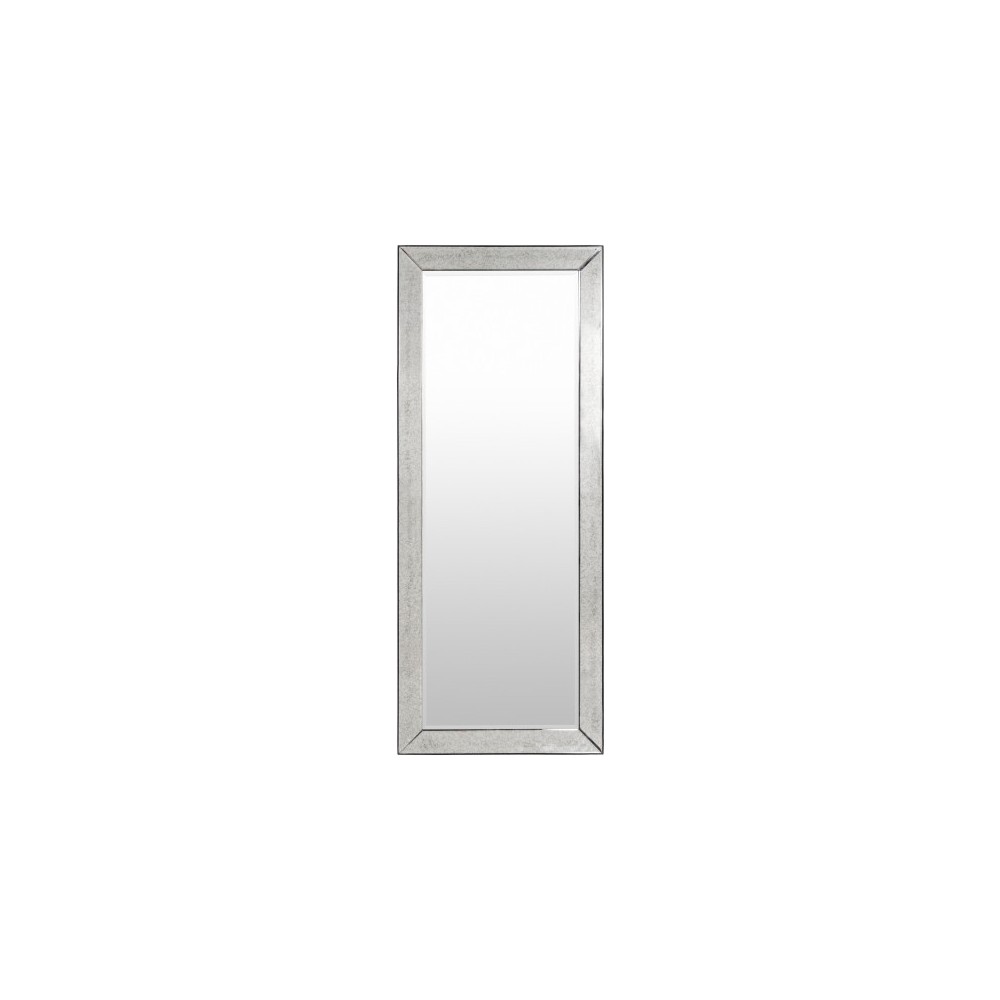 Surya Calloway CLW-001 72"H x 30"W Mirror