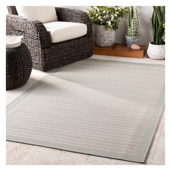 Surya Breeze BRZ-2305 5'3" x 7'7" Rug