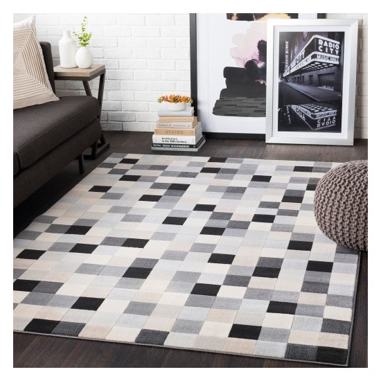 Surya City CIT-2309 2' x 3' Rug