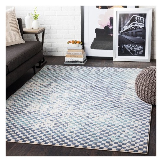 Surya City CIT-2337 2' x 3' Rug