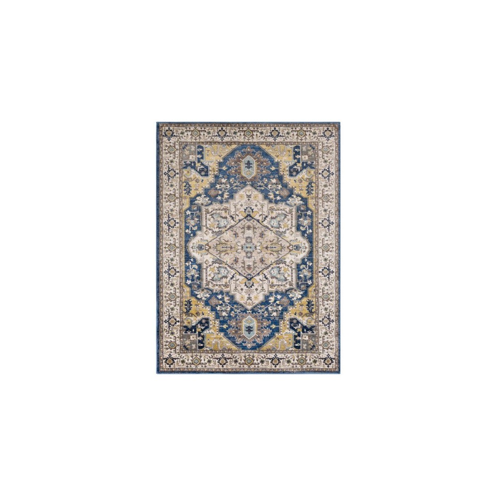 Surya Athens AHN-2300 2' x 2'11" Rug