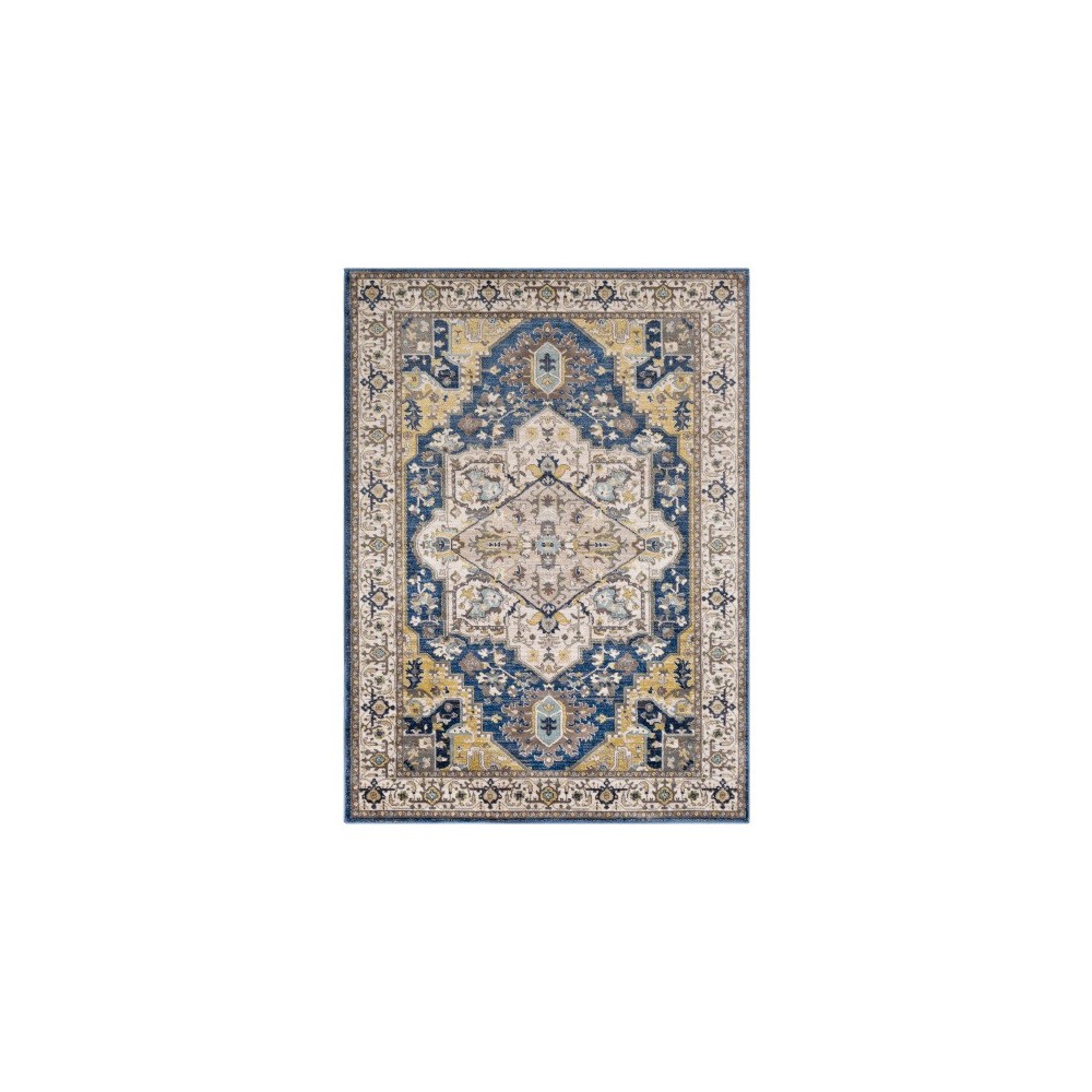 Surya Athens AHN-2300 5'3" x 7'3" Rug Surya Athens AHN-2300 5'3" x 7'3" Rug