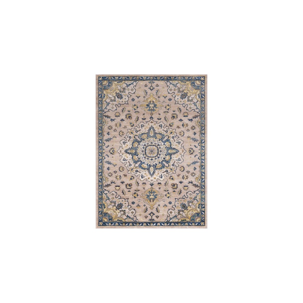 Surya Athens AHN-2305 5'3" x 7'3" Rug Surya Athens AHN-2305 5'3" x 7'3" Rug