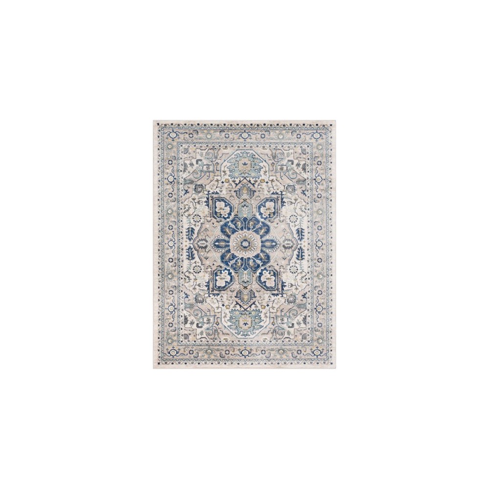 Surya Athens AHN-2309 7'10" x 10'2" Rug