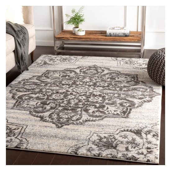 Surya Baylee BYL-1030 2' x 3'3" Rug