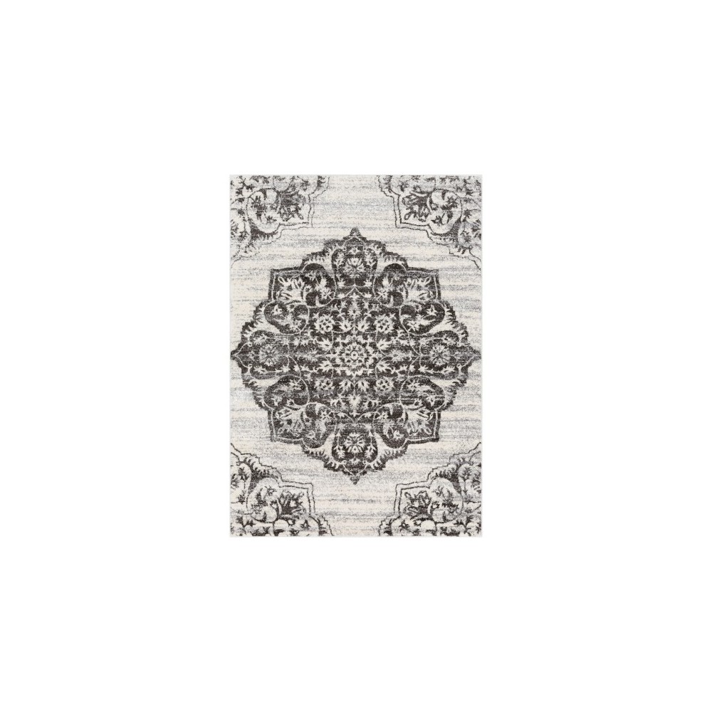 Surya Baylee BYL-1030 5'3" x 7'7" Rug