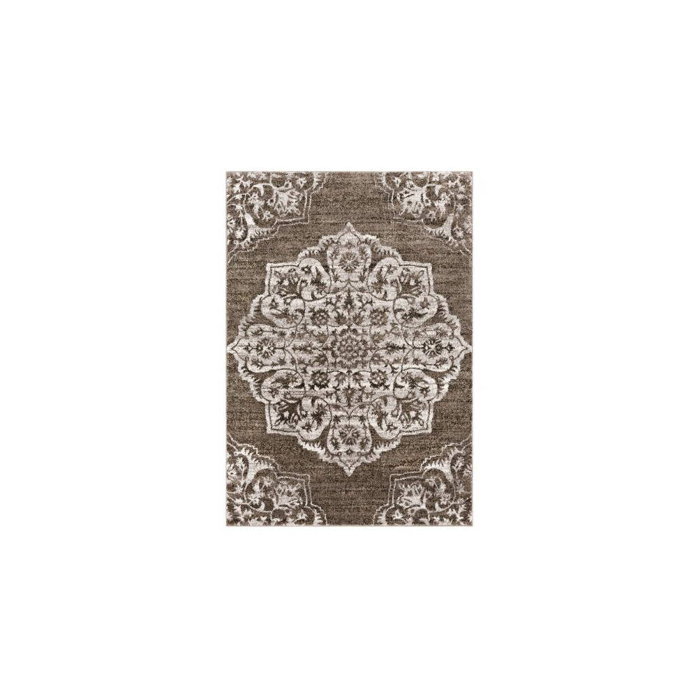 Surya Baylee BYL-1031 5'3" x 7'7" Rug