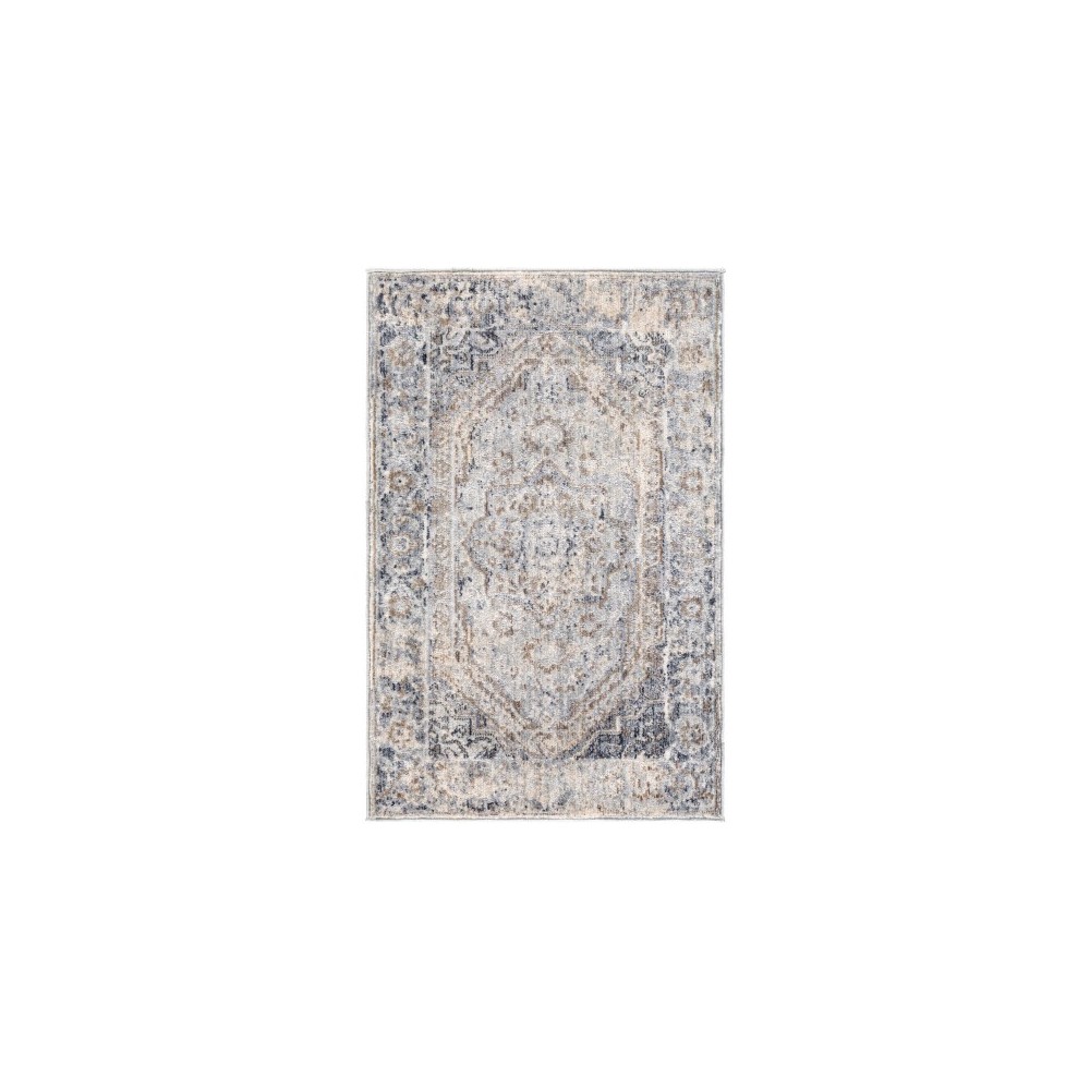 Surya Liverpool LVP-2302 2' x 2'11" Rug Surya Liverpool LVP-2302 2' x 2'11" Rug