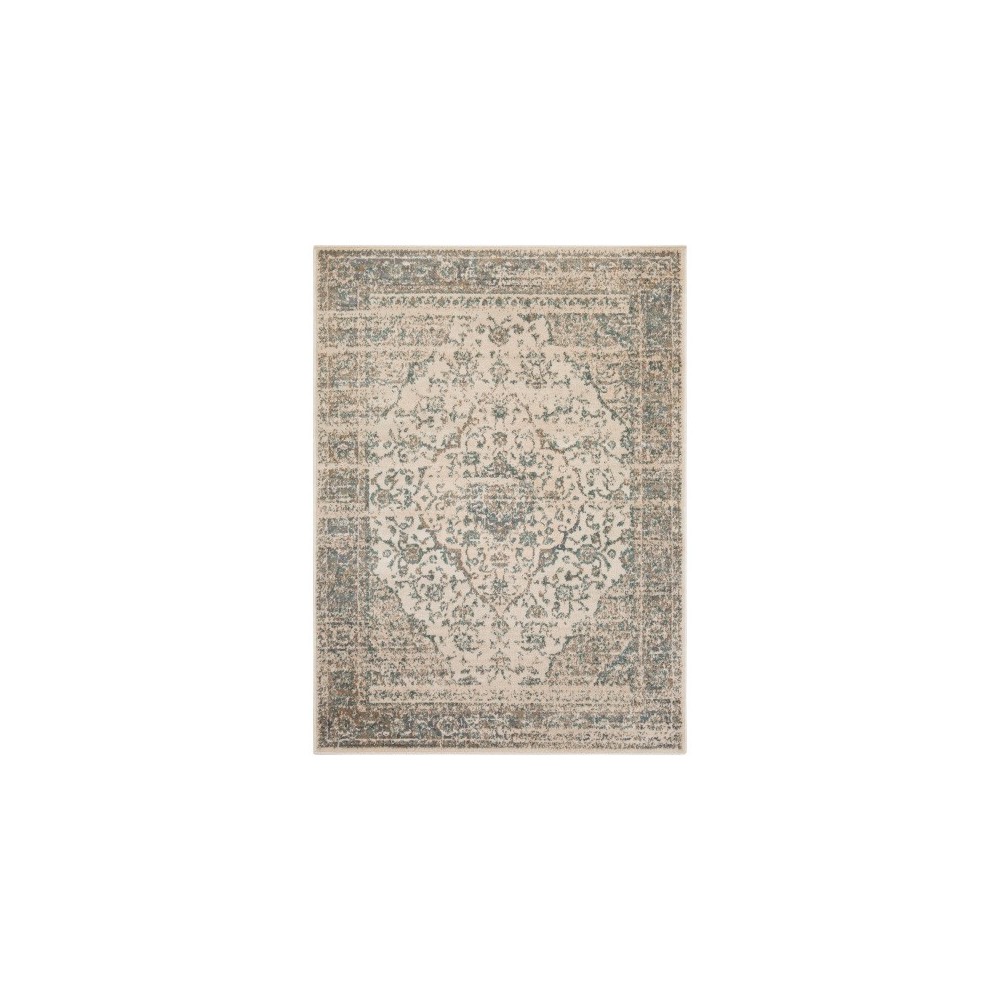 Surya Oslo OSL-2300 2' x 2'11" Rug
