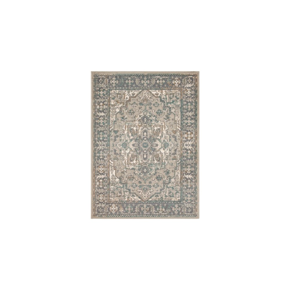 Surya Oslo OSL-2301 5'3" x 7'3" Rug