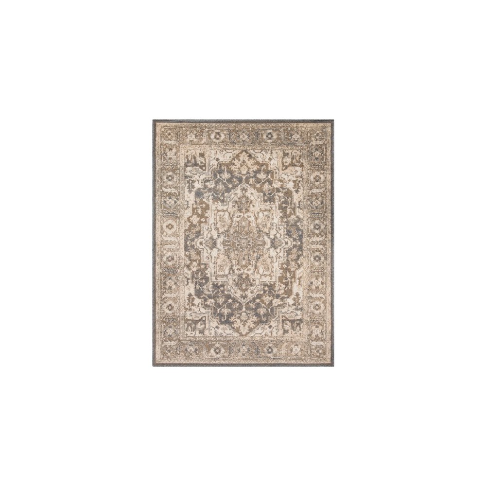 Surya Oslo OSL-2303 2' x 2'11" Rug