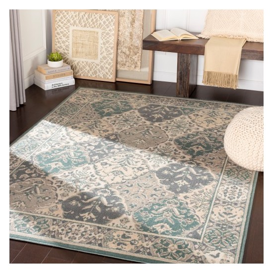 Surya Oslo OSL-2304 2' x 2'11" Rug