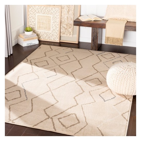 Surya Oslo OSL-2310 2' x 2'11" Rug